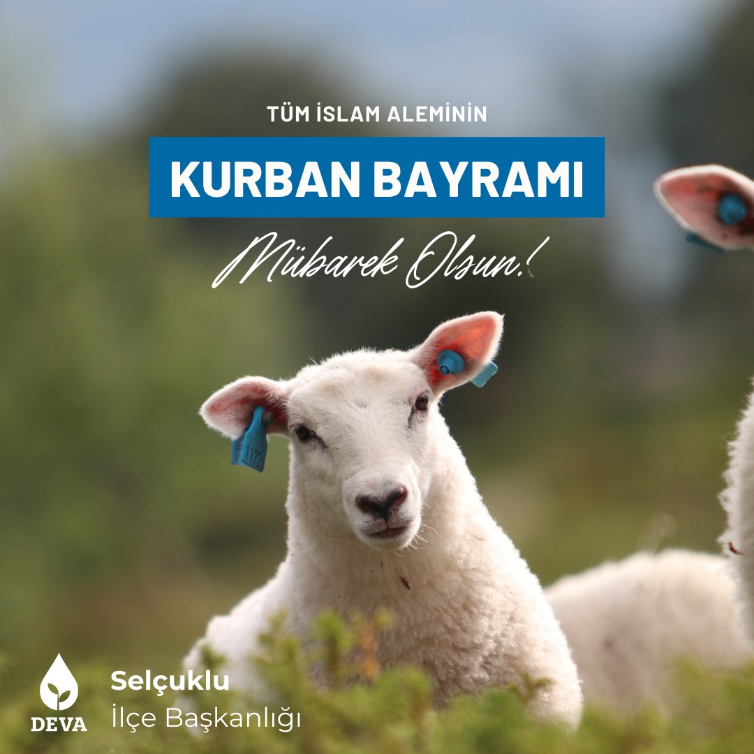 Hayırlı bayramlar..