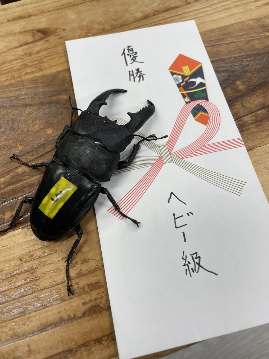 ホープ🇺🇦@3万ジュエル再達成！ tweet media