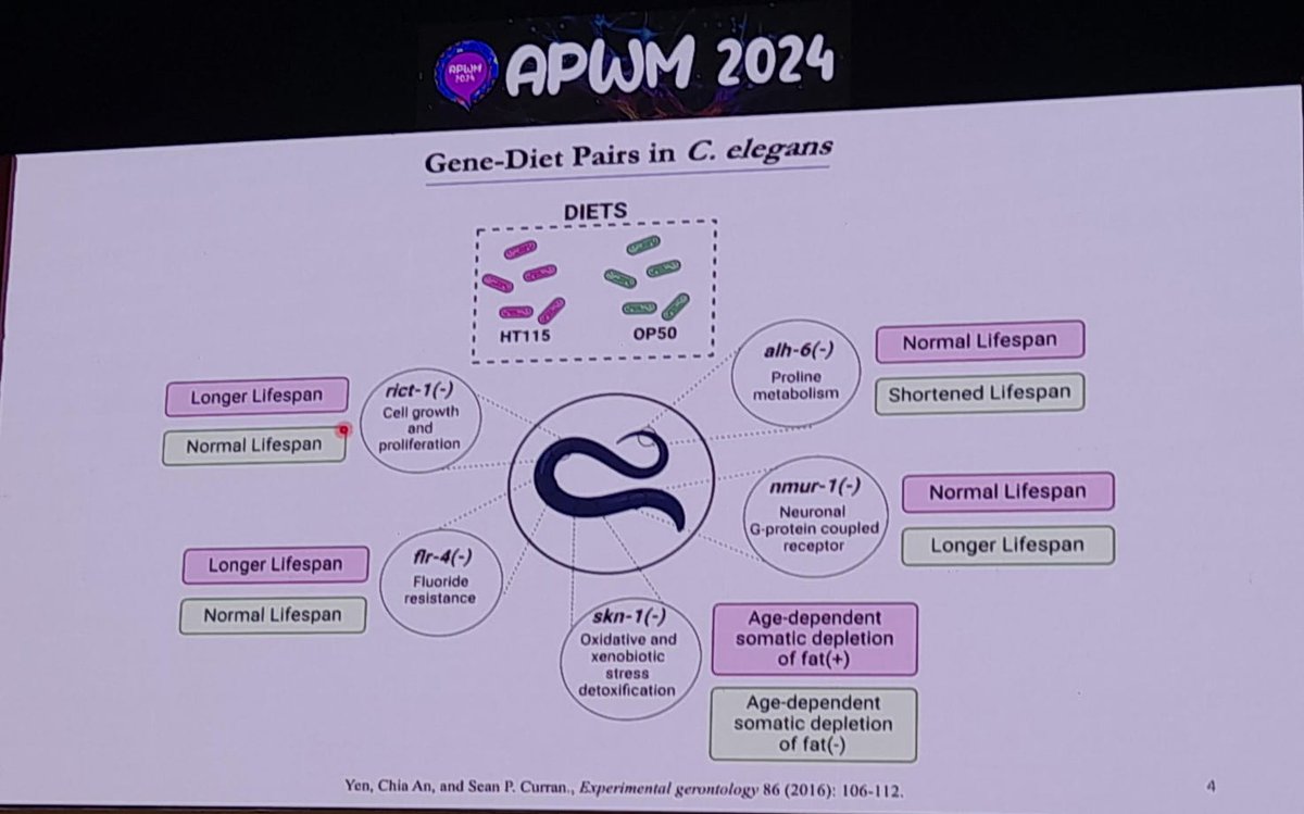 Sandhya Koushika tweet media