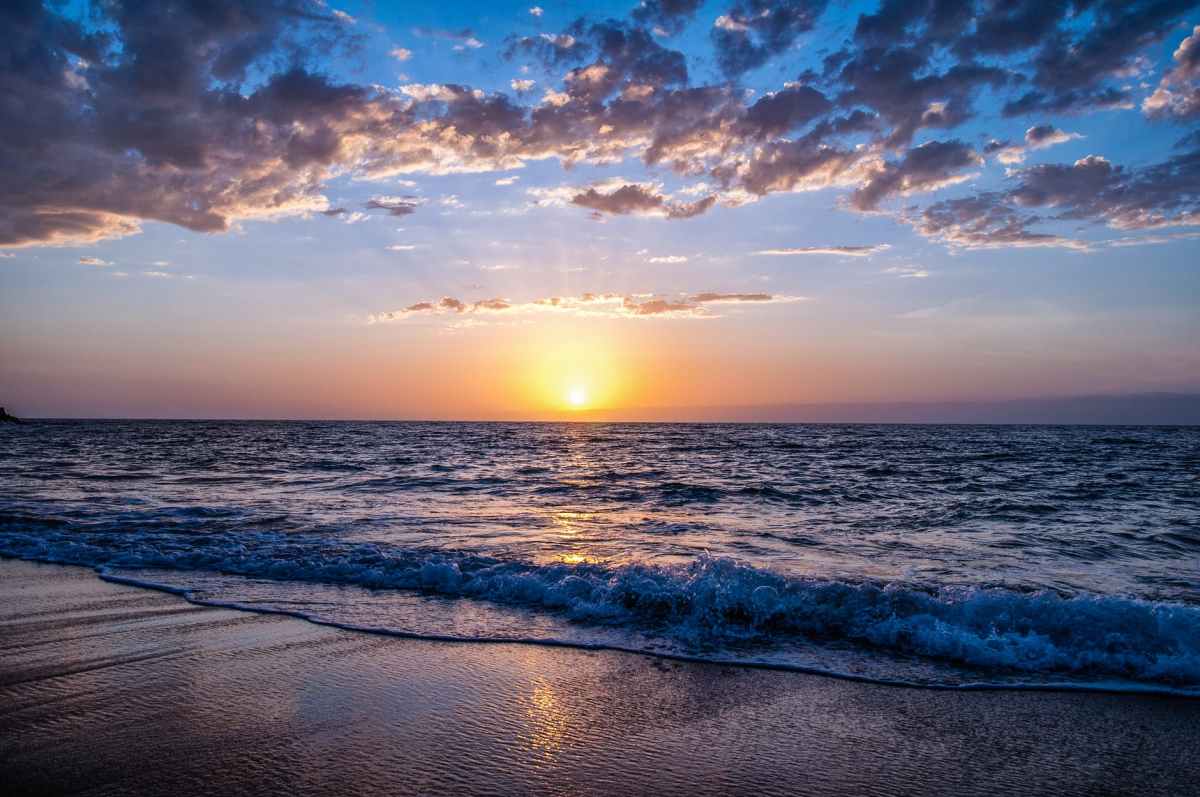 Paola_Glmnn's tweet photo. "Lévati anima mia, da sogni sopiti
A oriente l'alba inizia a sorgere
Del giorno si destano le campane fiorite e le sapienti cantorie delle fate,
iniziano (innumerevoli) ad essere udite."
🖋️ James Joyce
#Bloomday 2024
©️Bella White https://t.co/ddvMUjBO1U