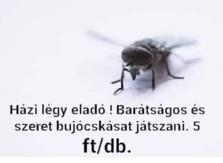 Ker Coock tweet media