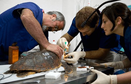 Plataforma Residu Zero Barcelona tweet media