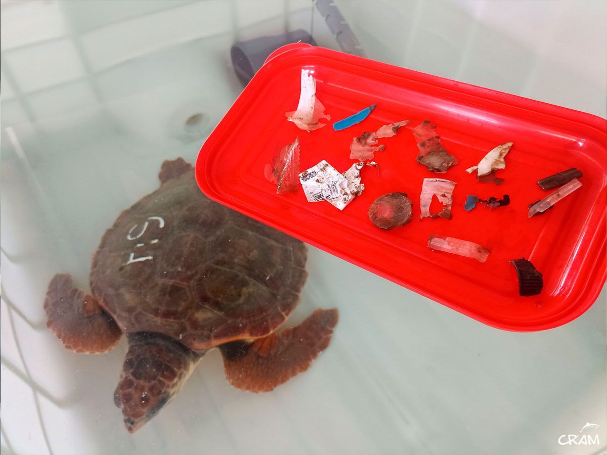 Plataforma Residu Zero Barcelona tweet media