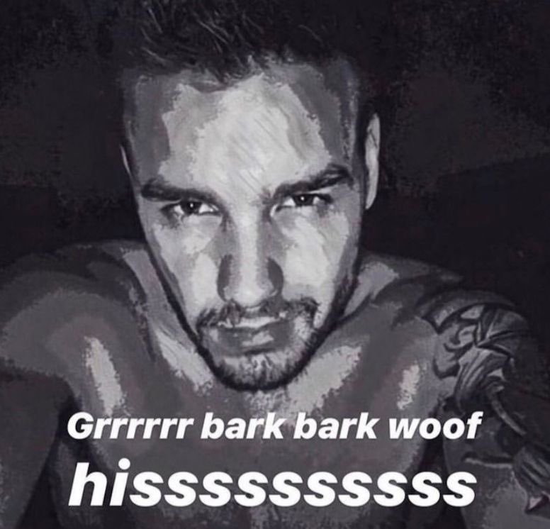 ᅠᅠ ᅠᅠᅠ ᅠᅠ ᅠ ᅠᅠ ᅠᅠᅠᅠᅠ ᅠ❛ ᅠᅠ ᅠ 𝓬𝒉͟𝒂͟𝒎͟𝒃𝒆𝒓𝒔 . (@medicsbravo) on Twitter photo 