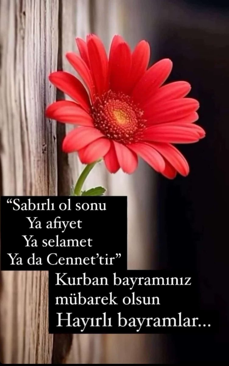 TlfSaner's tweet photo. Hayırlı bayramlar dostlar ❤️ https://t.co/s1QIGVjCPU