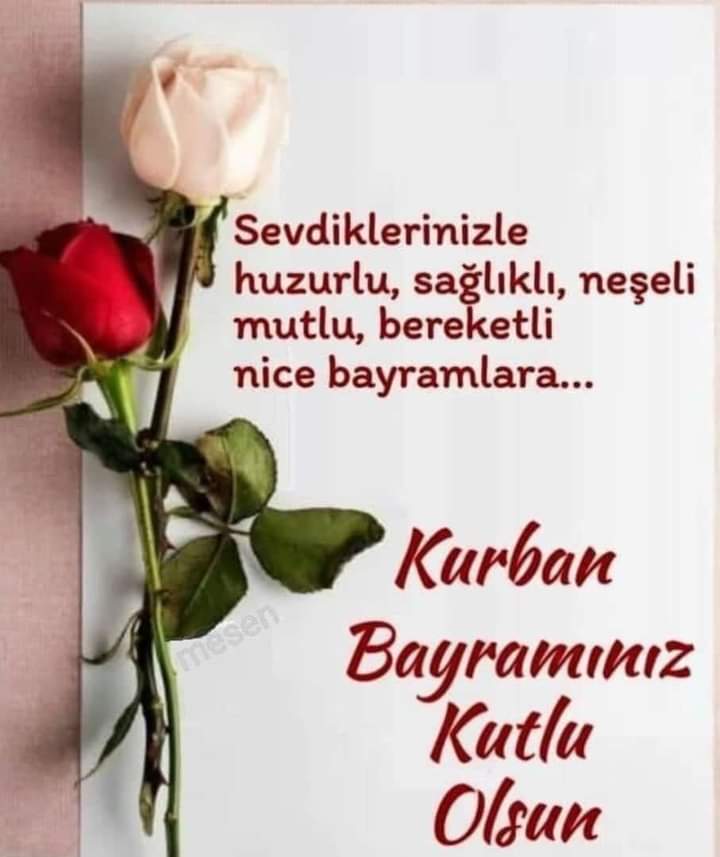 RecepAnaeli's tweet photo. Hayırlı Bayramlar TÜRKİYEM https://t.co/BxBxKmYZrP