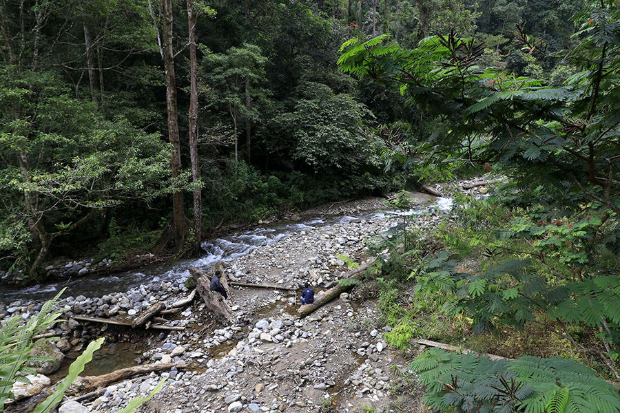 Pengembangan ekowisata memberi dampak positif pada TNGL. Data Balai Besar Taman Nasional Gunung Leuser [BBTNGL] menunjukkan, kejahatan lingkungan antara 2012 hingga 2024 menurun sekitar 90,91%.   mongabay.co.id/2024/06/15/eko…