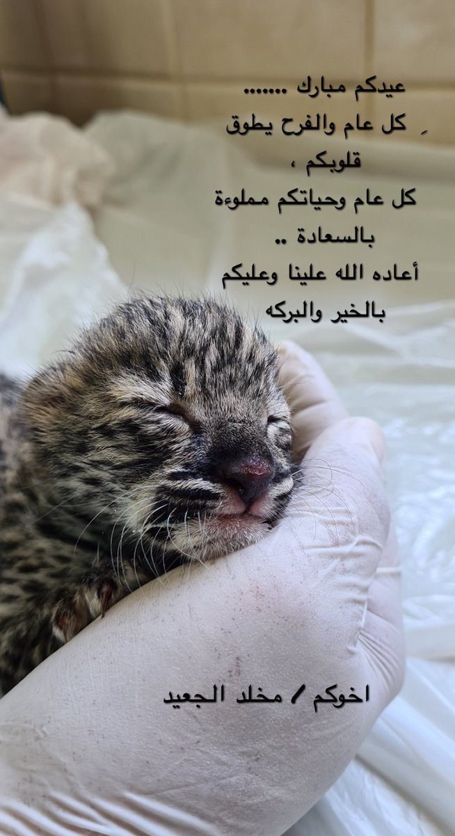 كل عام وانتم بخير
