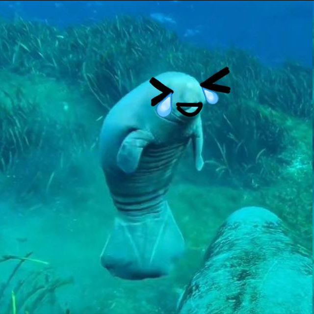 wysCrodie's tweet photo. @ManateeDot @slingoor #DIAMONDFINS $DOT https://t.co/0INCINvsb5