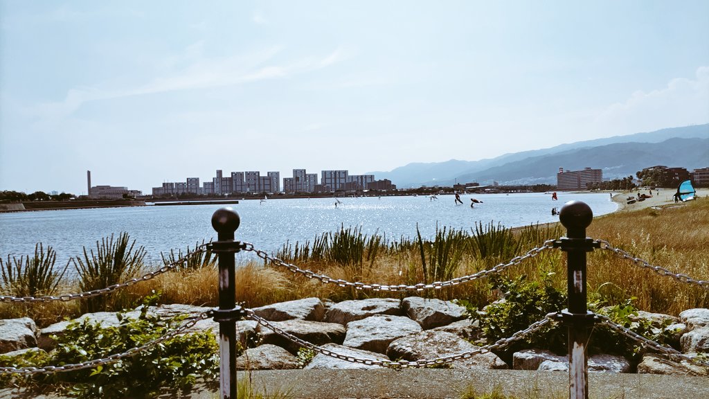 来週のオレンジトライアスロンに向けて、最後のオープンウォーター練習🏊‍♂️

フォイルボード⁉️なるものを楽しんでいる方々の間をぬって泳ぎましたが、邪魔やったやろーなぁ。すんまへん。
来週、雨はほどほどにしといてほしいなぁ