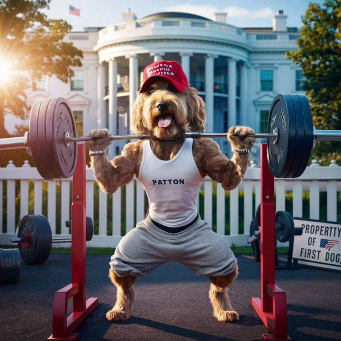 PattonCoinEth's tweet photo. Pump it up $PATTON https://t.co/O3iWD97ZdY