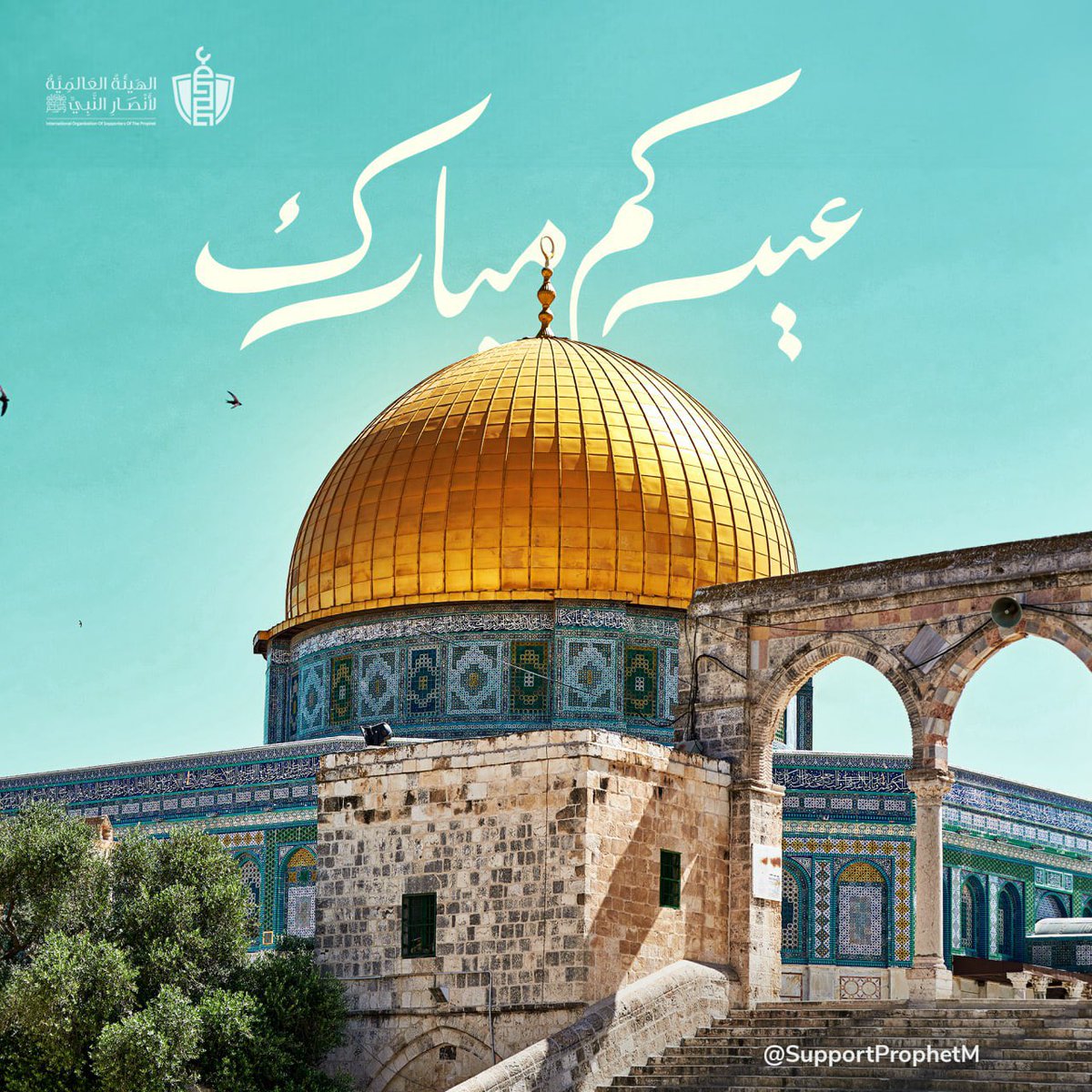 UbaidaDib's tweet photo. عيدكم مبارك، أتمَّ الله فرحتنا بتحرير أراضينا المقدسة ونصرة إخواننا في غزة وفي كل مكان

#أنصار_النبي #عيد_الأضحى #الحج https://t.co/hPeBAyHtEb