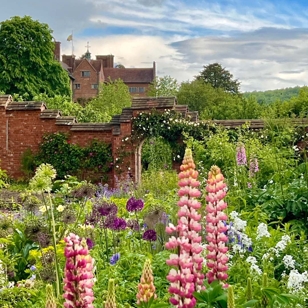 southeastNT's tweet photo. The garden at @chartwellNT is alive with colour and fragrance. Visit this month to see delicate tones of pink &amp; white throughout Lady Churchill’s Rose Garden 🌹 and borders awash with pastel shades of plants perfects for pollinators:> https://t.co/eLHzdNZP5Q

#📷️©️ Chris Lane. https://t.co/epNerVWpOD