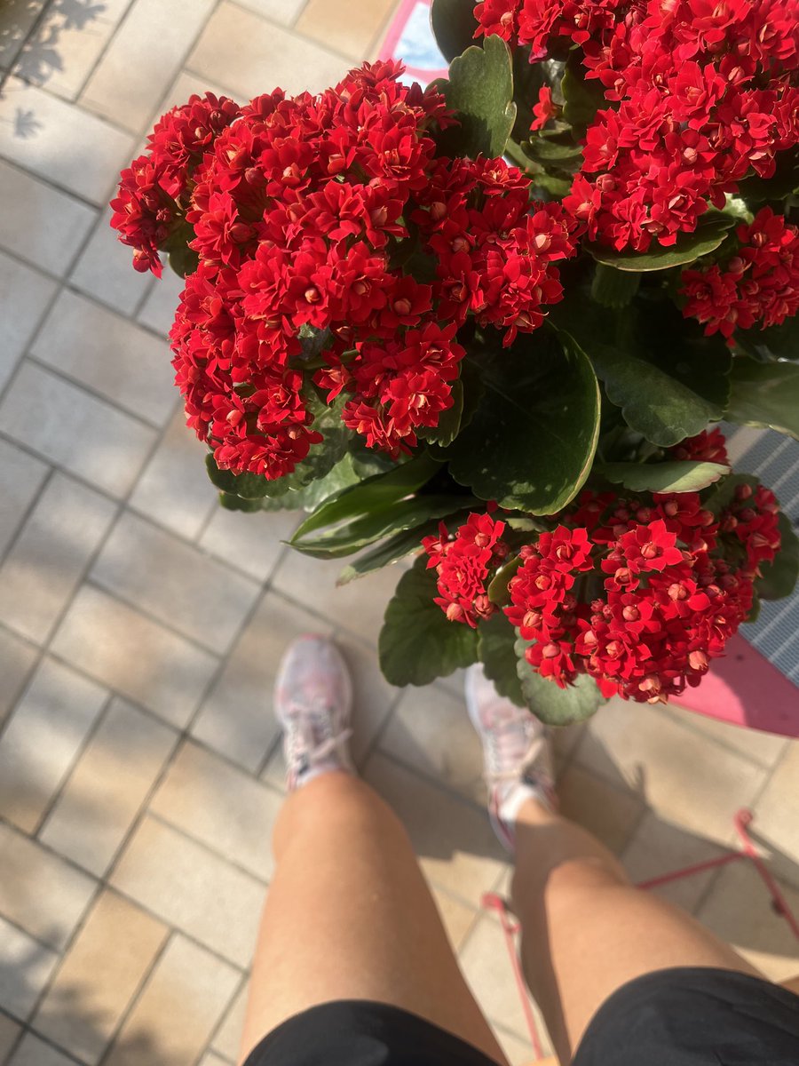 Sararunning's tweet photo. Un giretto per iniziare al meglio questa giornata ma ho avvertito tutta la stanchezza addosso😅 da domani si riparte con più energia😉 speriamo…#runningmum #happysunday https://t.co/9tziFy5RfW