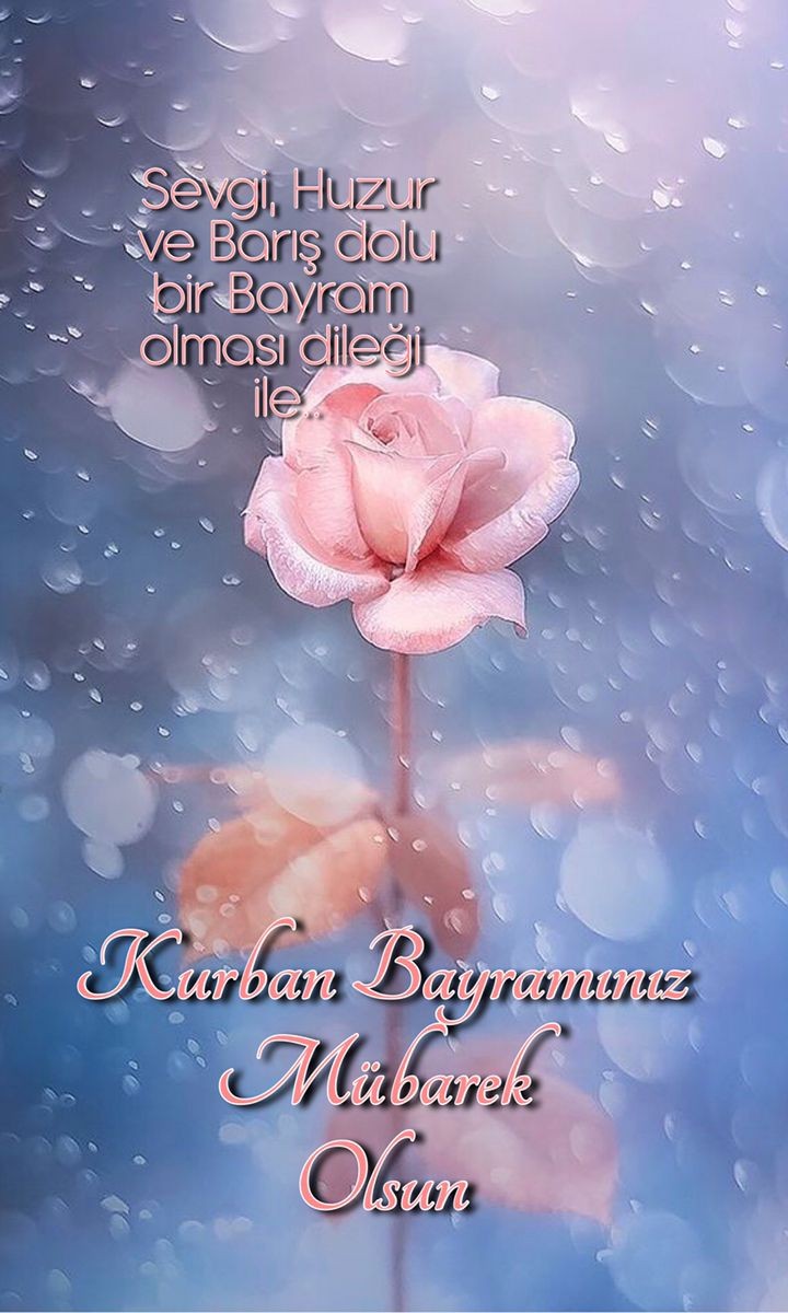 kemaltuluk (@tuluk_1907) on Twitter photo 