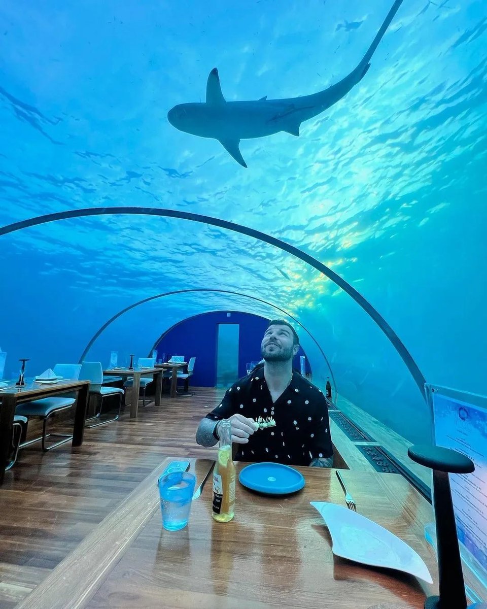 visitmaldives's tweet photo. Savour your tastebuds with a view. #UnderWater #Maldives #Adventure 📷:maldivesinsider https://t.co/1wt2hhhQ8v