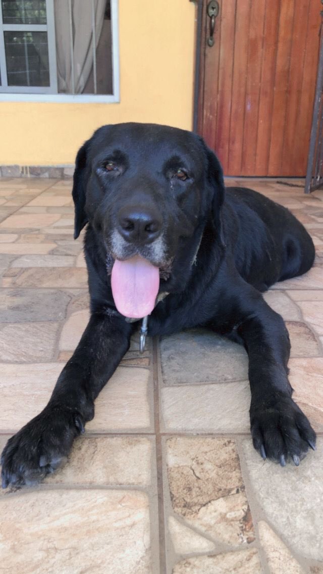 la_ferrel's tweet photo. 5 hermosos años contigo, te voy a extrañar mucho 🙌🏻🤍 https://t.co/HJxnVr2gJE