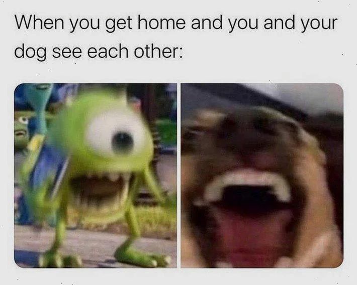 WholesomeMeme's tweet photo. https://t.co/F4eAX6W0Ca