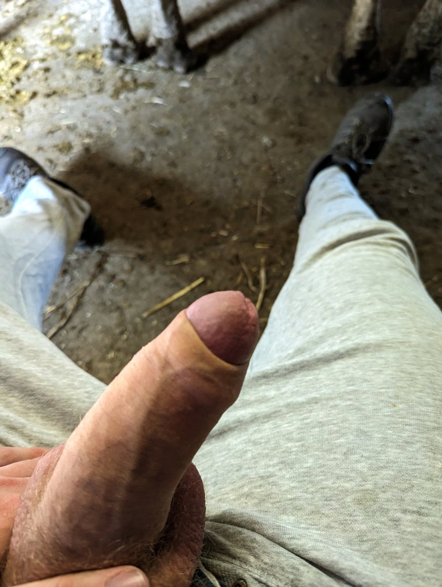 MastermitF72762's tweet photo. 🇬🇧 Suck my dick 

🇩🇪 Lutsch meinen Schwanz 

#master #dick #dickout #schwanz https://t.co/xe0iL8ABAz