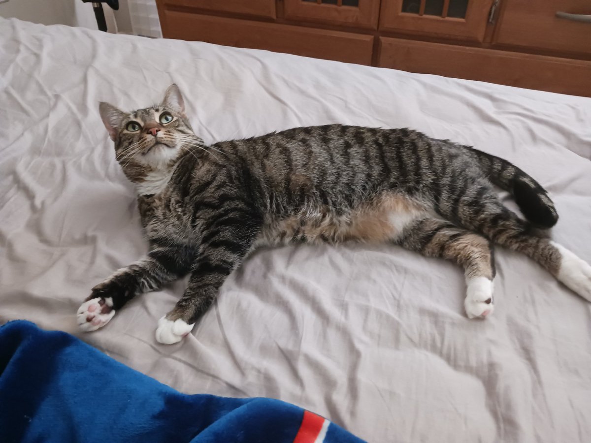 EvilYuriDemon's tweet photo. fatass https://t.co/6QojXvHoGB