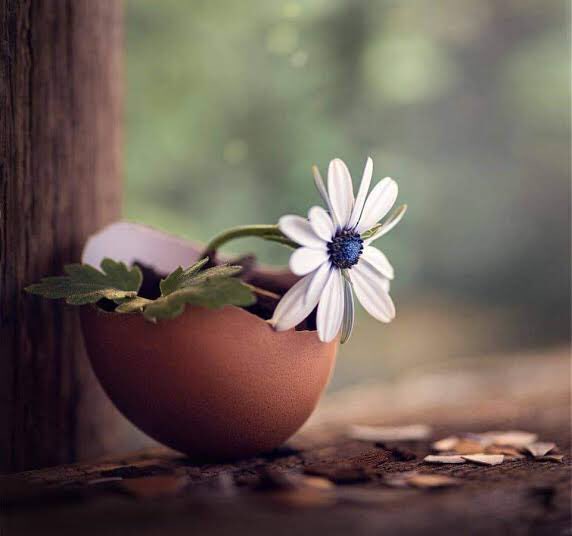 “Siz beni insanlıktan, saffetten, samimiyetten, sevdadan iğrendirdiniz.”

🥀