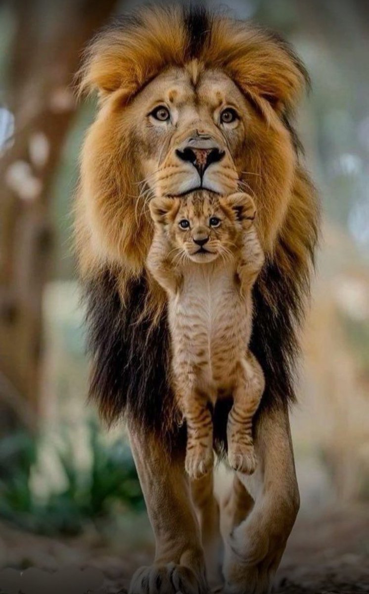 ArvasYasar's tweet photo. Babalar günümüz kutlu olsun… https://t.co/1gPNnsFM0R