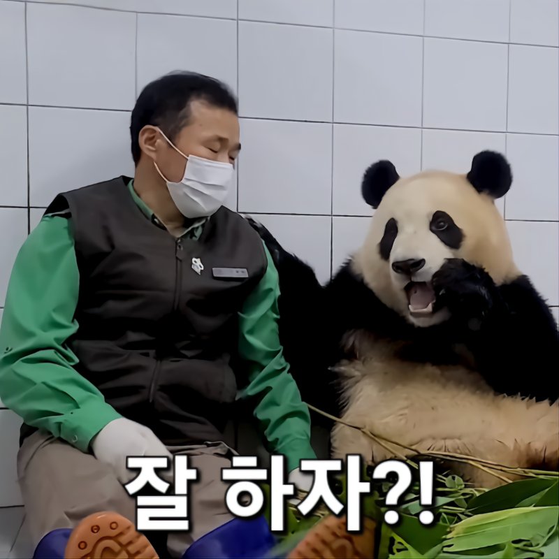 save__fubao's tweet photo. 나무에 오르는게 본성이라고
전문가라며?전문가라메?
라방 보는데 생각할수록 ㅃㅊ네
#판다접객_영원히근절
#24hrSecurityCam https://t.co/vyJ6OGZRij