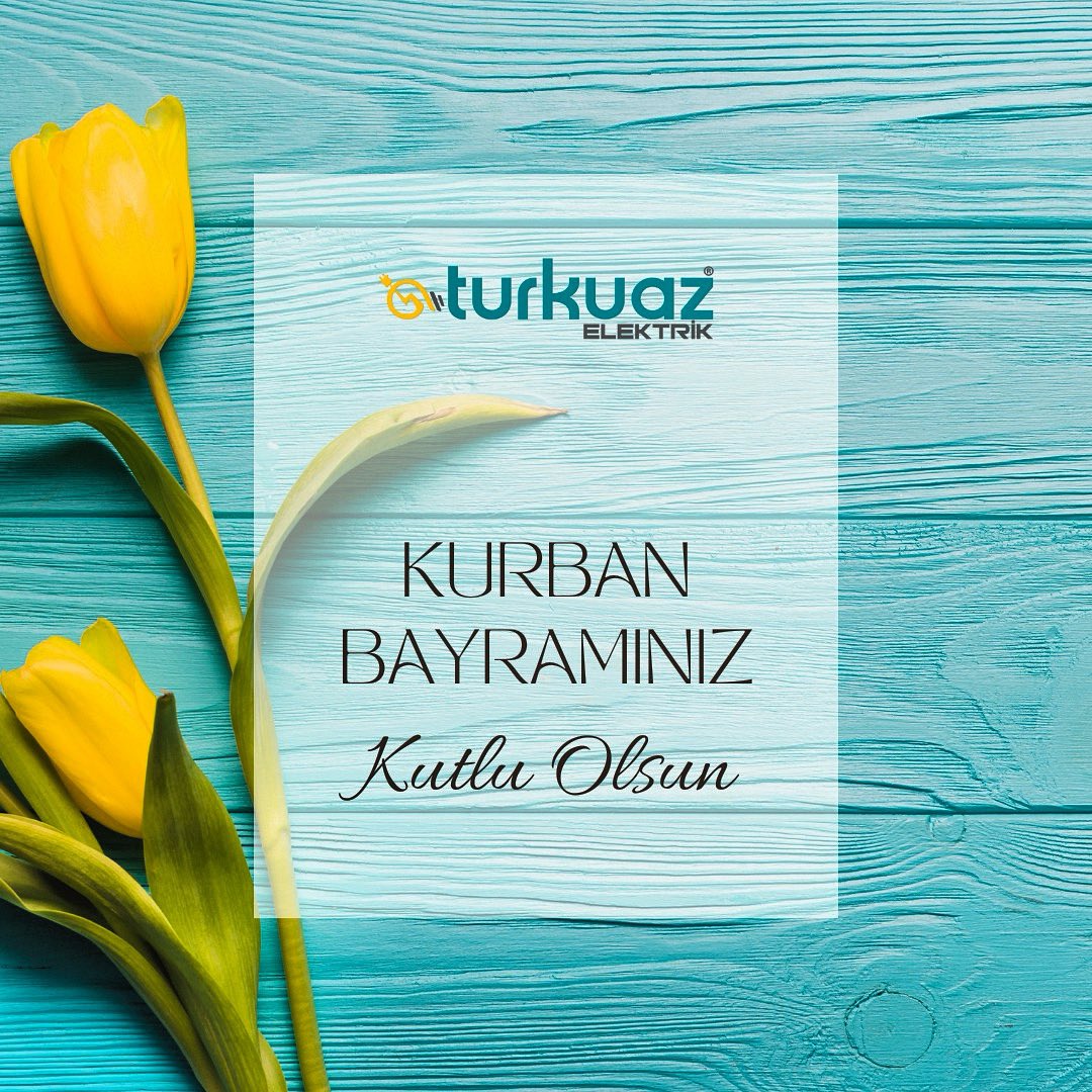 briefikircom's tweet photo. İyi bayramlar olsun 🩵💛

@TurkuazElektrik 

#iyibayramlar #TurkuazElektrik #KurbanBayramıKutluOlsun #KurbanBayramımızMübarekOlsun https://t.co/lSBeV4ZKjy