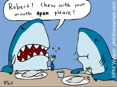 White Shark Projects tweet media