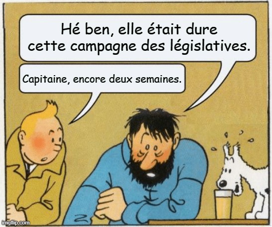 ceciestmontweet's tweet photo. #LegislativesAnticipées https://t.co/wgZXKUeNvY