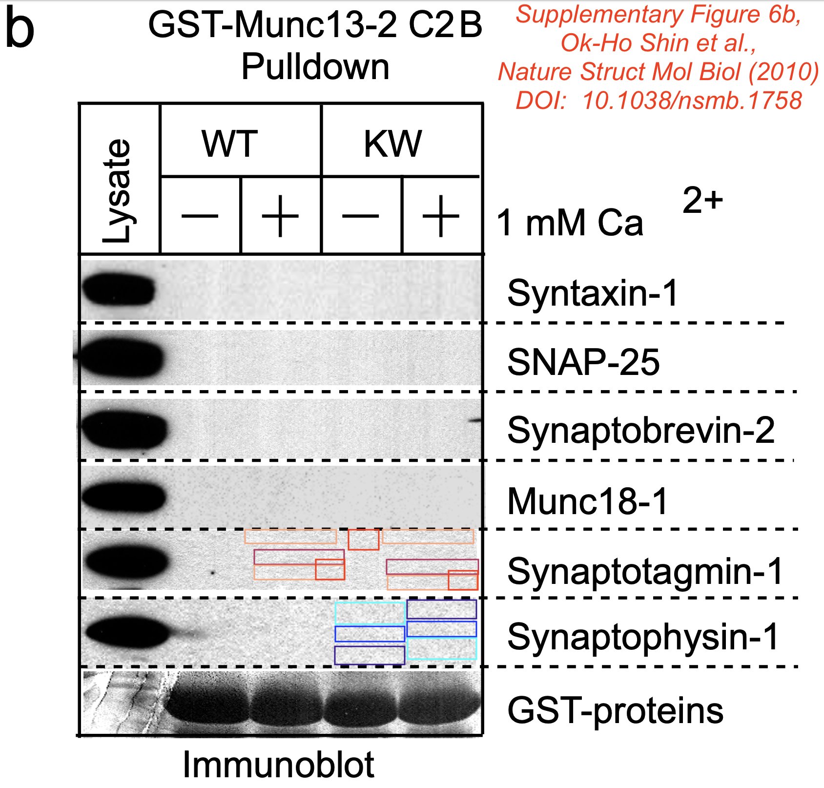 https://x.com/MicrobiomDigest/status/1802246568277594153 social preview image
