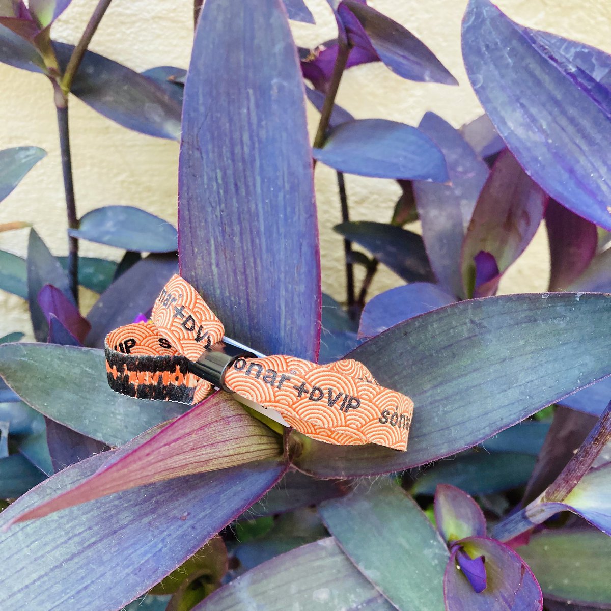 vfibla's tweet photo. classic tweets: #postSonar @SonarFestival 2024 #festivalwristband
31 anys acompanyant-nos, que es diu de seguida 💜 https://t.co/ITssP4SIeB