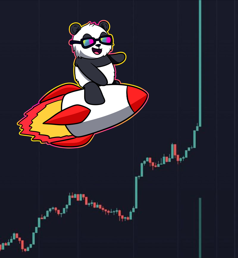 bambitsol's tweet photo. $BAMBIT is ready for the next leg up, are you ready, pandas? 🐼🚀 We've got the momentum, the community, and the drive to take this to the next level. Don't miss out on this BAM-tastic journey! 

Let's keep pushing and make history together! 💥💎

#solana #memecoin https://t.co/Nj5x1Cys4I