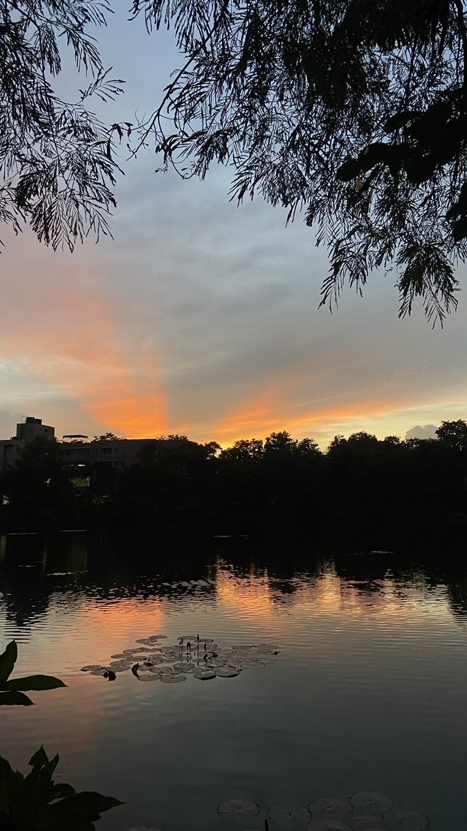 Hello!
I am looking for a flatmate for a 2BHK semi-furnished flat in a gated society. The society has access to private lake 
Move in : July onwards
📍Trinity acres and woods
💰₹ 12,730 rent plus 2k monthly maintenance (per person)

<a href="/BangaloreRoomi/">Bangalore Roomie</a>