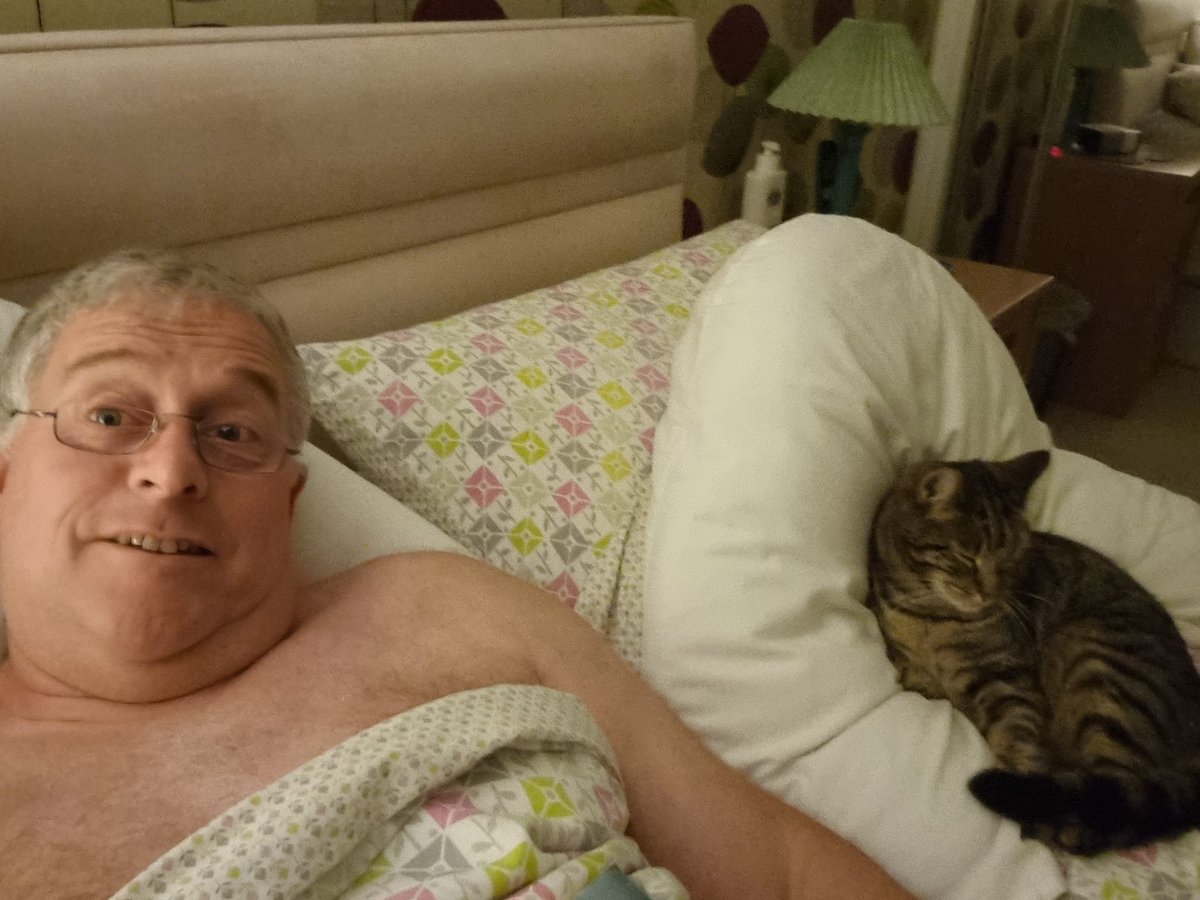 Catnapcorner's tweet photo. @CatsWarrington Dad's best friend - only when mum's away 😹 https://t.co/u3coLHK0SF