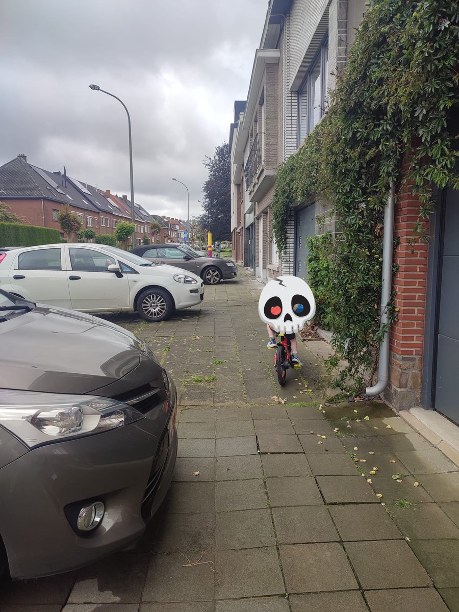 In Zottegem mag je parkeren op het voetpad.

Allemaal voor de 'garagepoort'.

De burgemeester woont om de hoek.

Geen handhaving.
 
De parkeerwachter mag enkel beboeten als de blauwe schijf niet ligt.

De politie knijpt een oogje dicht.