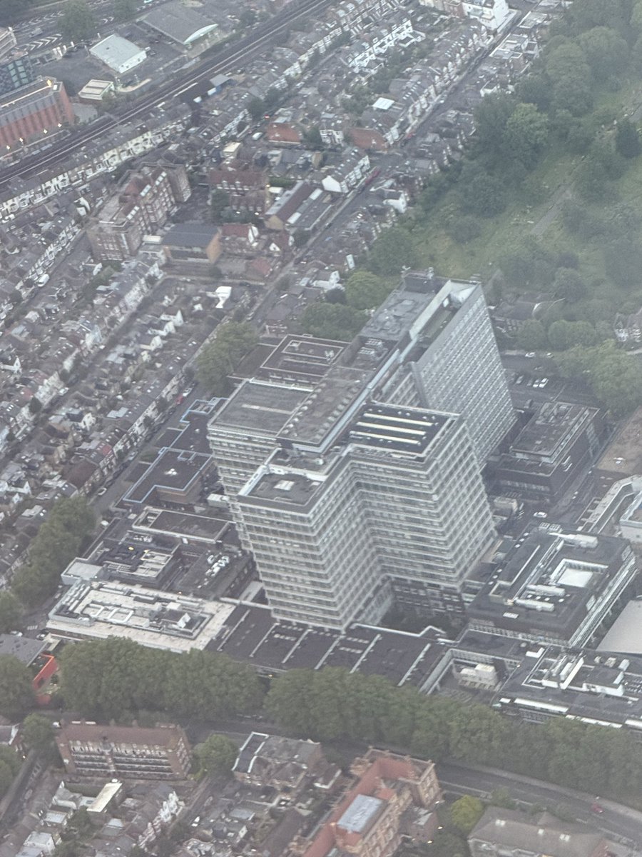 Lois Payne tweet media