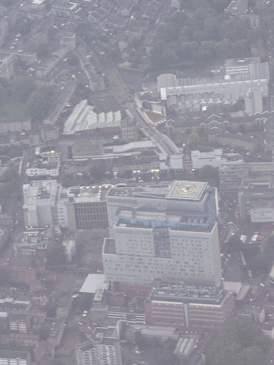 Lois Payne tweet media