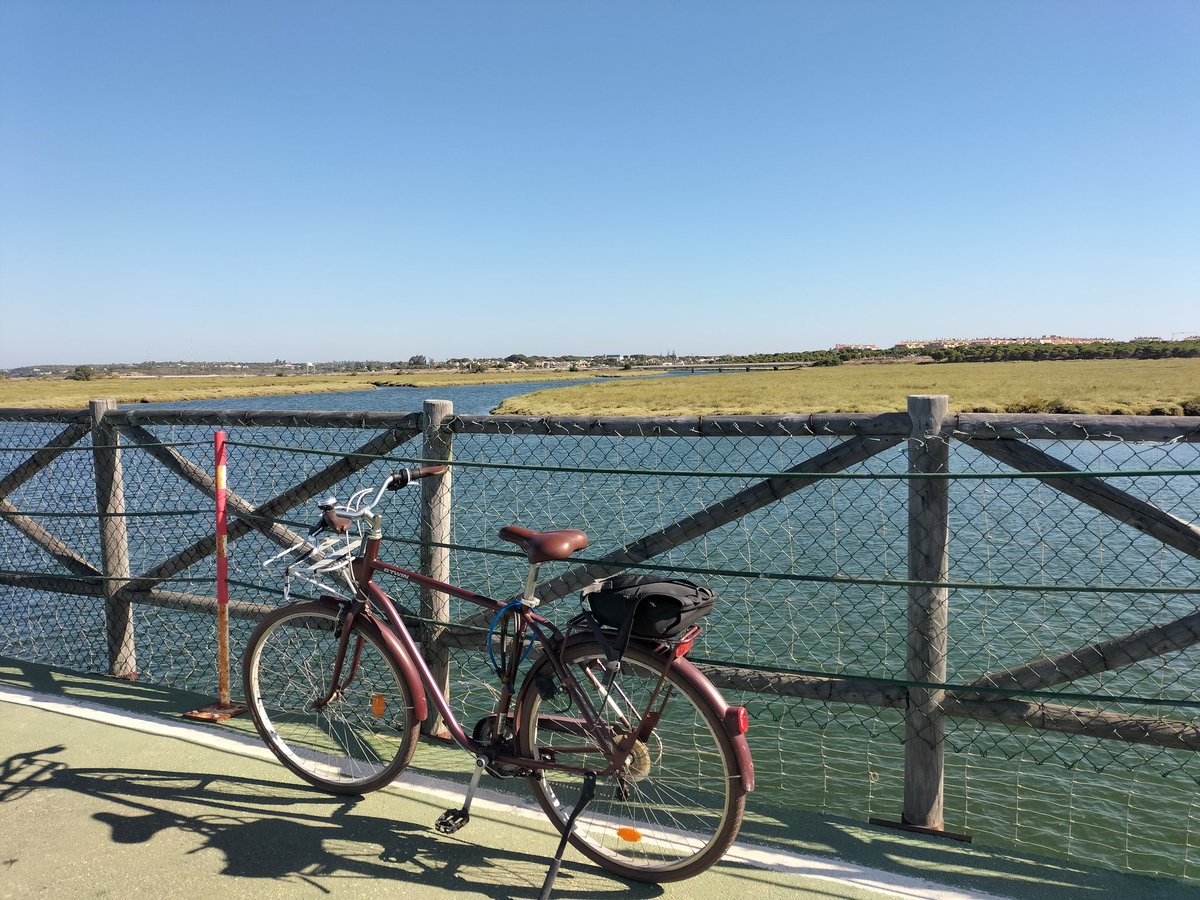 torrefrancoivan's tweet image. Oh god, how I've missed biking around Huelva! 🚴🏽‍♂️