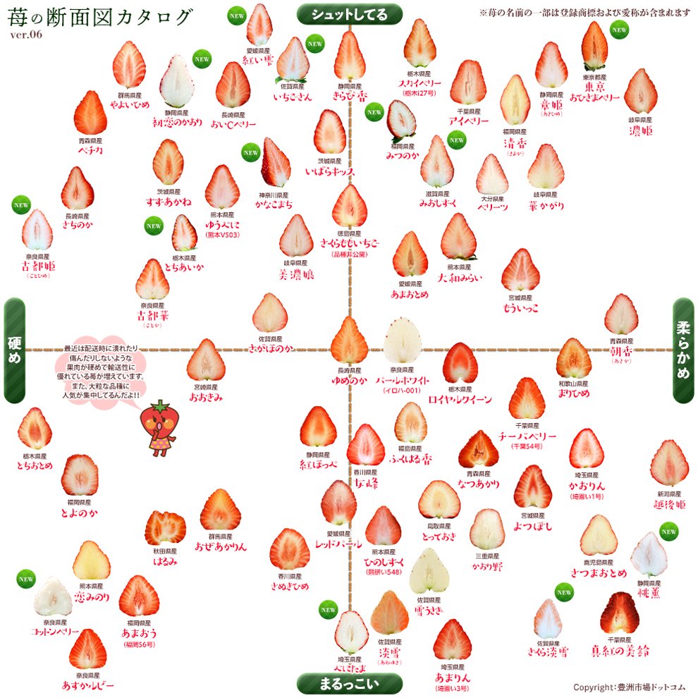 So, Japanese strawberry varietals: I'm in deep. Too deep. There are CHARTS with MULTIPLE AXES. This naturally speaks to me. Behold: