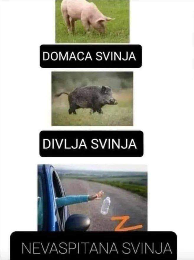 Неделна едукација по природа и општество