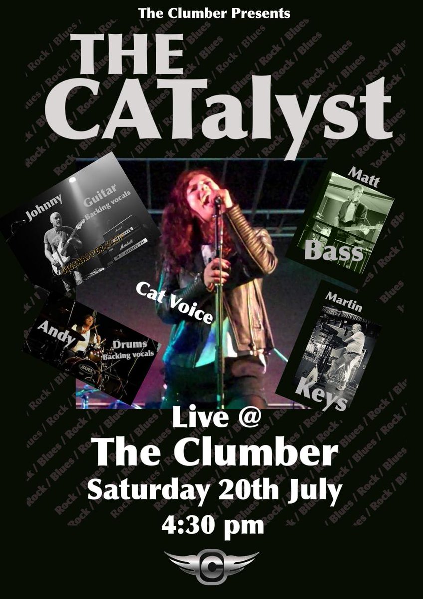 CatSummers tweet media