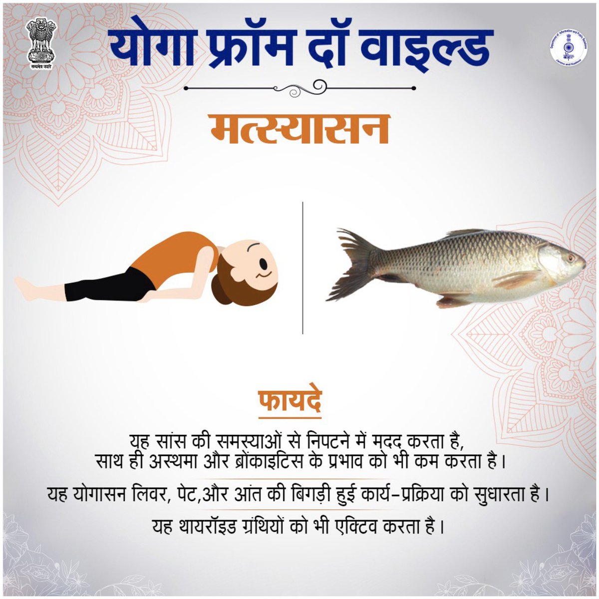 diprjk's tweet photo. Ever tried #Matsyasana
#YogaFromTheWild #YogaDay2024 #YogaForAll #IDY2024 #InternationalDayofYoga2024 https://t.co/BuVT0EiRzx
