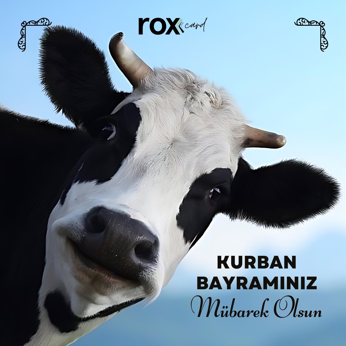 Kurban Bayramınız Mübarek Olsun! 💜🐏🐄

#KurbanBayramı #bayram