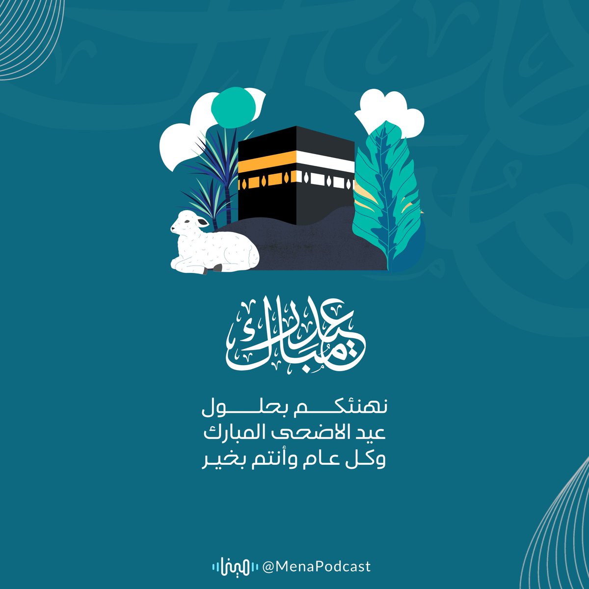 مينا tweet media