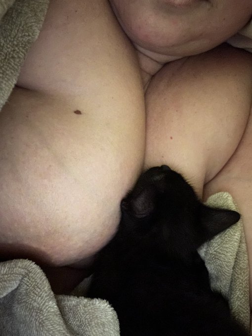 Night night! https://t.co/7Ahy0u156W<a href="/tag/mvsales"class="tags"><span>#mvsales</span></a>