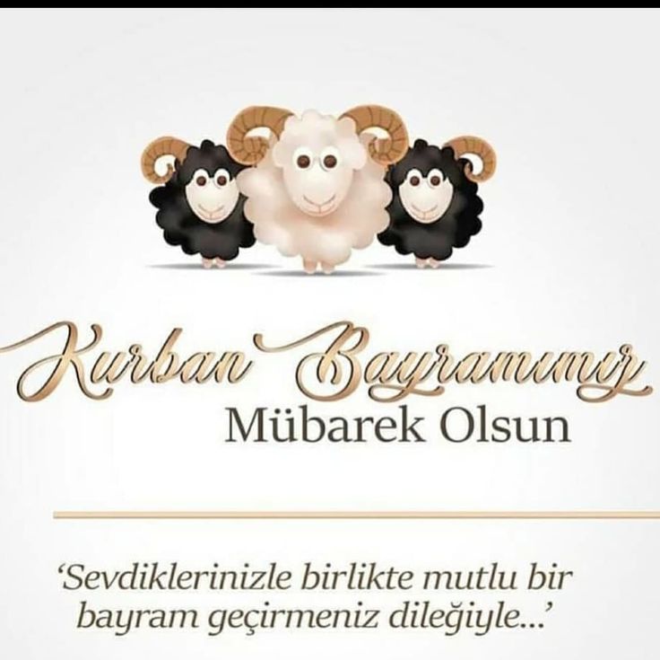 argun346134's tweet photo. https://t.co/K2haktvaSw