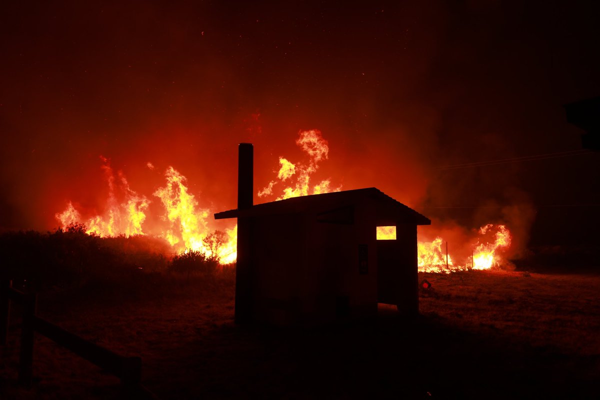 SwansonPhotog's tweet photo. #postfire #california #onassignment @AFPphoto https://t.co/7q6S0tHW6P