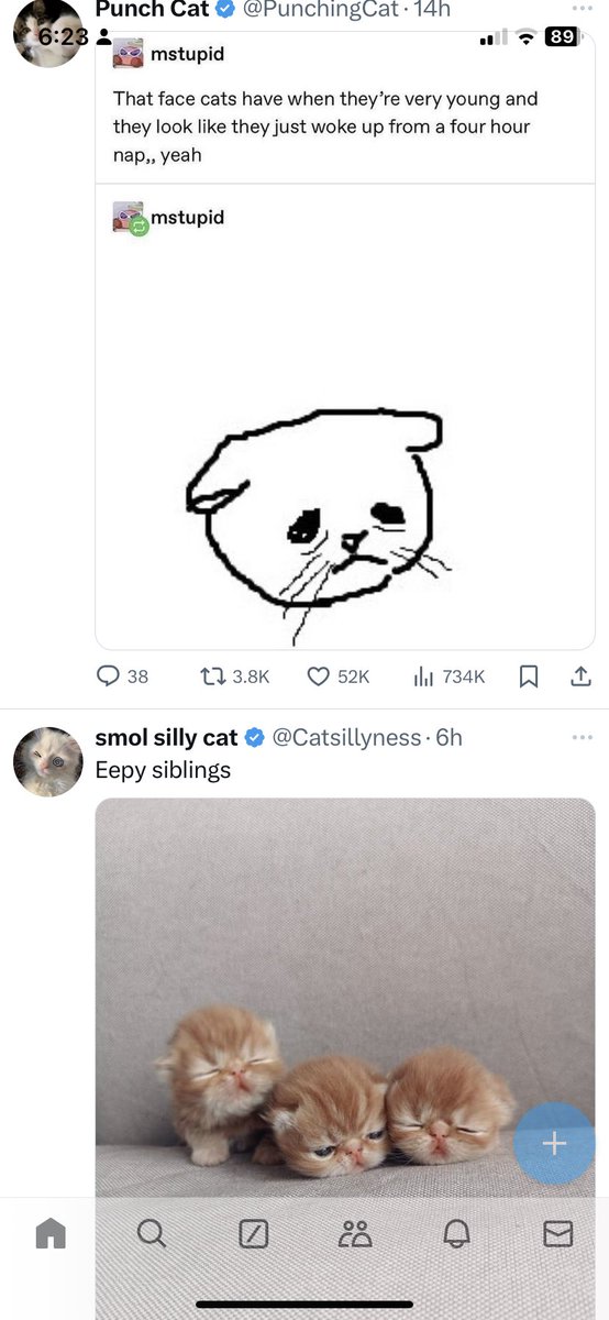 RWYLMgoated's tweet photo. @PunchingCat Thank u to the algorithm https://t.co/ntwcBfunaB