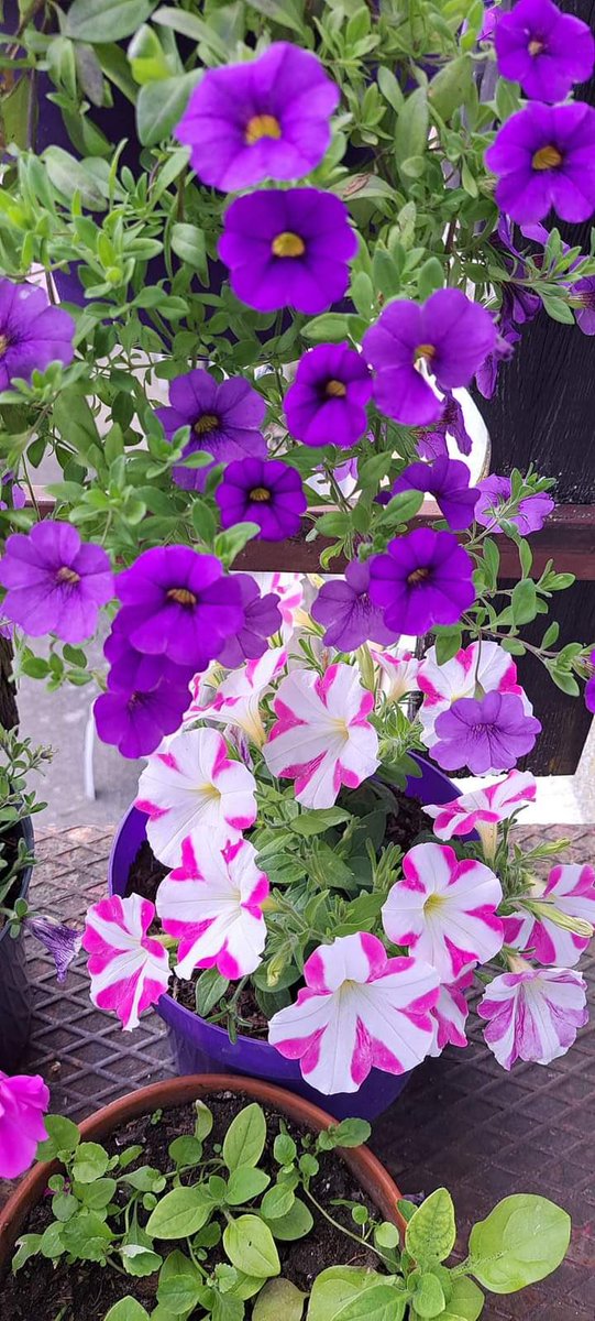 Rate this picture out of 10 ?